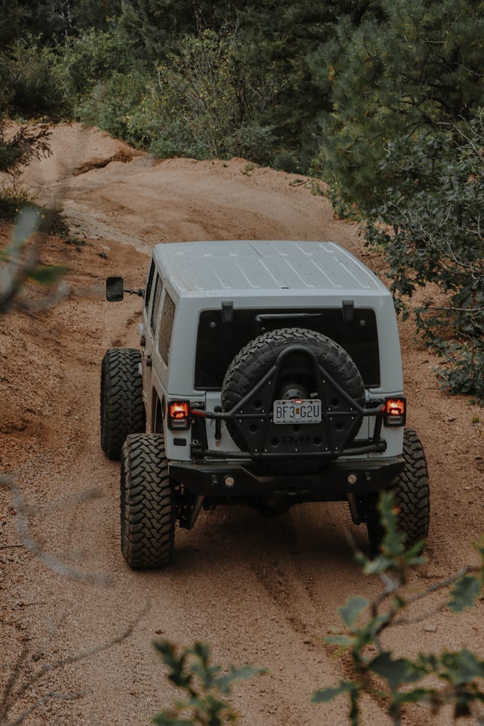 Jeep driving on a dirt road surrounded by trees, showcasing rugged outdoor exploration.