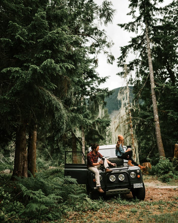A couple sits on a classic off-road vehicle immersed in a tranquil forest setting, enjoying nature.